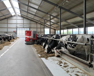 Dairy Cattle Nutrition