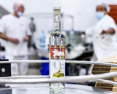 Une unité de production de rhum agricole en Guyane