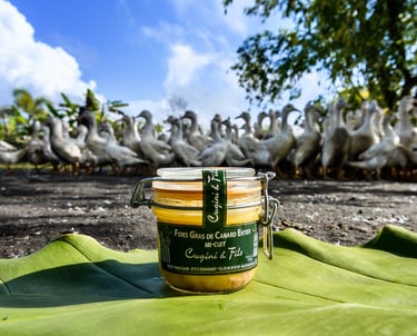 Un bloc de foie gras devant de nombreux canards