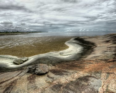 Le littoral guyanais à marée basse