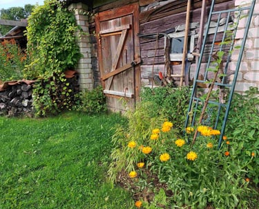 „Žolynų medus“ bitynas įsikūręs natūralios žemdirbystės ūkyje „Žolynų namai", kur bites renka nektarą iš laukinių pievų žiedų