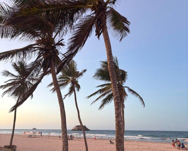 Fotos palmeras con atardecer en playa
