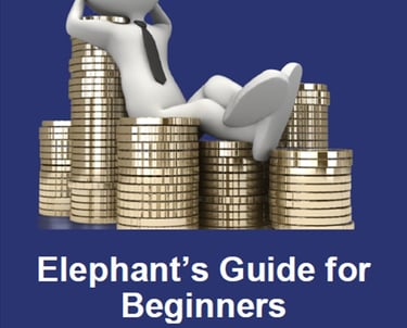Beginner's Guide to Investing