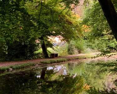 A scene on the stunning Monmouthshire and Brecon canal in the Brecon Beacons, South Wales.