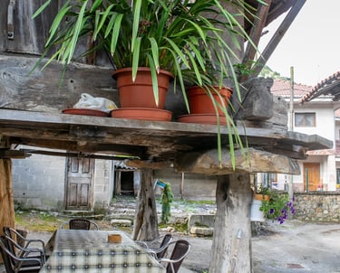 Casa Rural Salices 