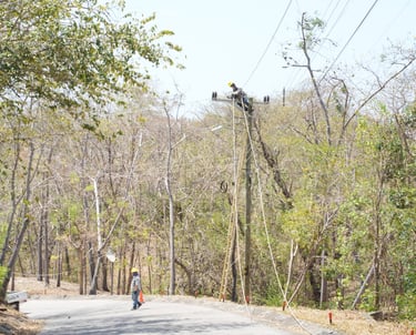 Hombres haciendo cambio de postes de madera que presentan fisura a postes de concretos