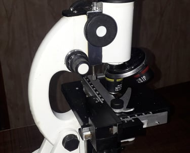 compound microscope