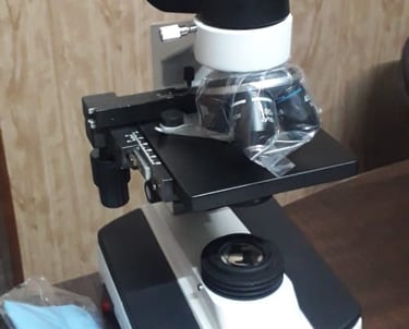 binocular microscope