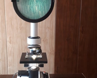 projaction-microscope