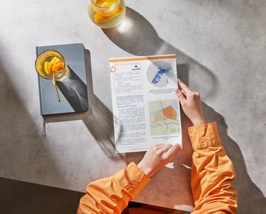 Etude du dossier de transformations de deux zones commerciales en entrée d'agglomération de Tours