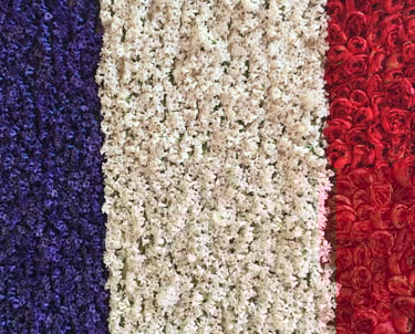 Red, white, and blue flower background.