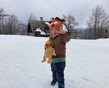 Baby enjoying the snow in Vogel ski resort, Slovenia
