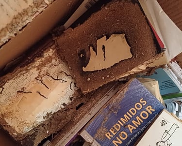 cupim de solo em livros
