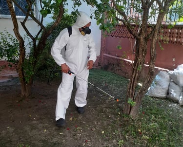 dedetizador especializado aplicando o produto