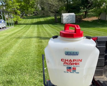 Lawn Fertilization and lawn weed control services
