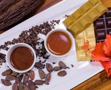 small cups of sipping chocolates and hand-crafted Costa Rican chocolate bars from Reina's