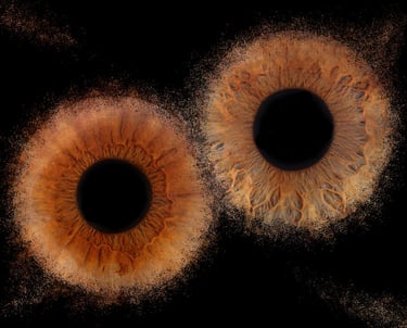 photohraphie iris narbonne