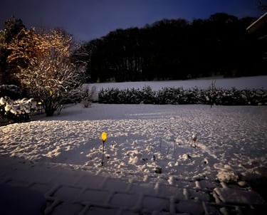 The stillness of this snowy landscape at night represents the state of least excitation where Silenc