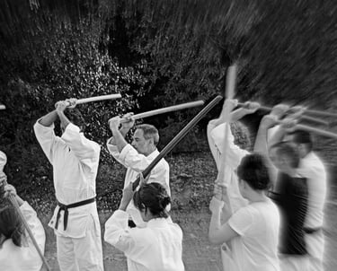 Tecniche avanzate di Aikido col bokken