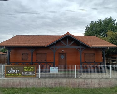 Traitement toiture sur des briques réalisé par Entreprise Couleurs Bassin