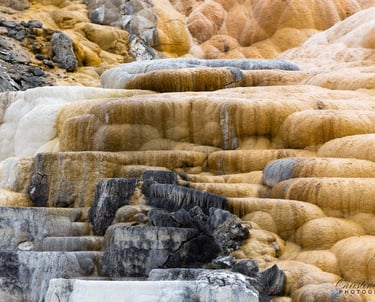 Mammoth Hot Springs