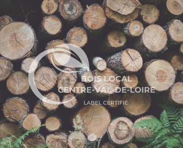 un tas de bûches avec des feuillages