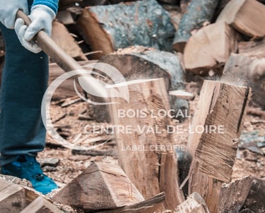 une personne tenant une grande hache pour couper du bois