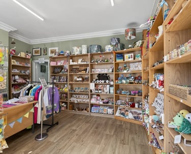 a store with a variety of items in the store