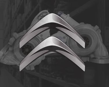 repuestos Citroën homologados | Central Repuestos