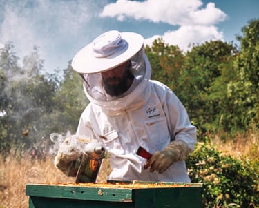 Imker Simon Tötschinger bei der Arbeit an den Bienen