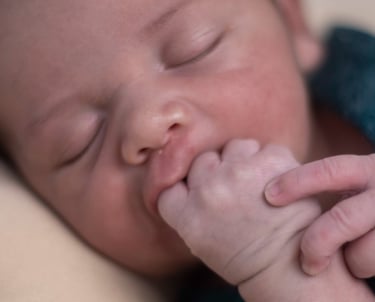 Ensaio Fotográfico Taty Pacheco Newborn