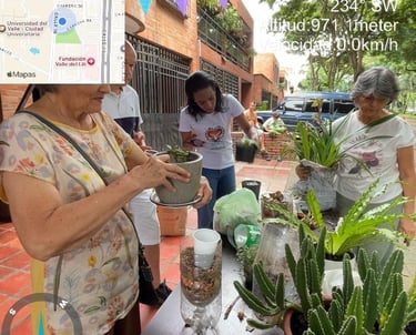 Actividad ambiental de siembra y mantenimiento de plantas sanas para mejorar la calidad del aire.