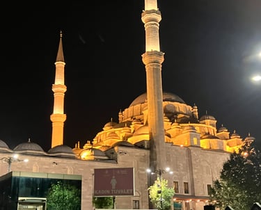 Fatih Mosque Türkiye Islamic heritage site