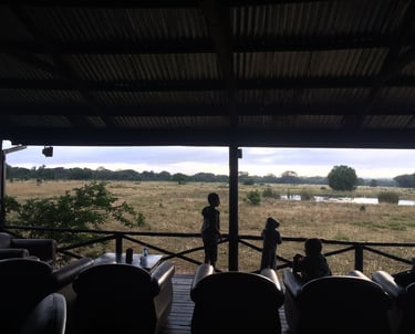 south africa safari