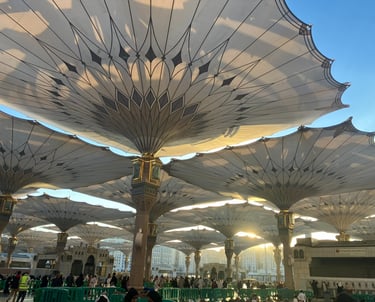 Medina mosque umbrellas, Islamic site Saudi Arabia