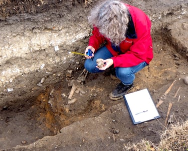 Excavating a skeleton at Clare Castle