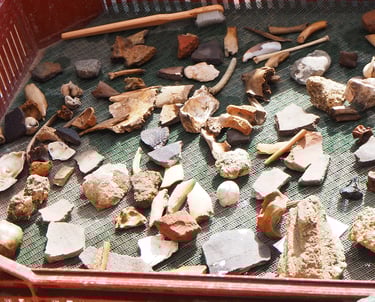 Finds in a drying tray