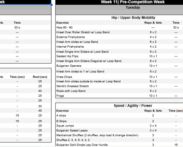 Cesar Performance Coach Daily Tennis Physical Plan