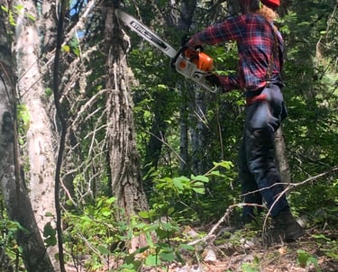 Firesmart in Salmon Arm Shuswap