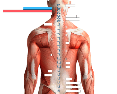 Insight neurological scan after a few months of care at Three Nails Chiropractic Franklin TN