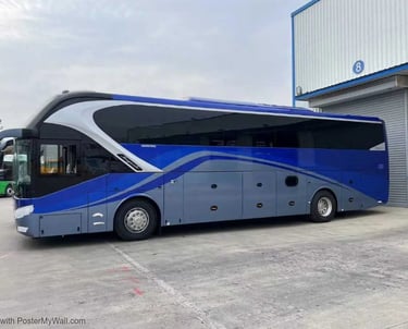 Buses