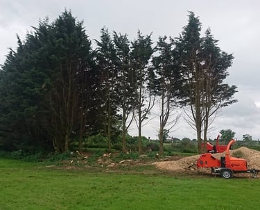 site clearance