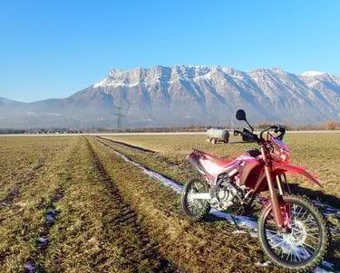 a red motorcycle parked in a field with mountains in the background