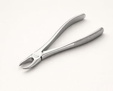 Lower root forceps stainless steel dental instrument CE certified