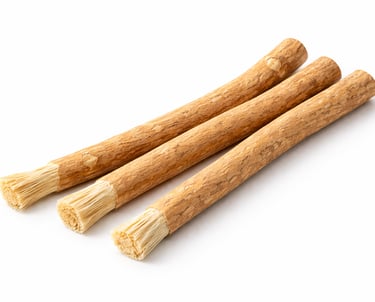 Raw natural miswak sticks sourced from Salvadora persica tree