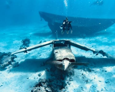 a scuba diver enjoying with a plane wreck