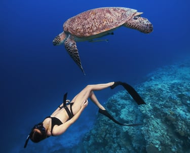 Femme faisant de l'apnée en maillot de bain avec une tortue