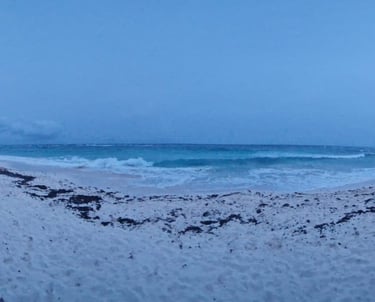 a beach with a beach and a boat in the background