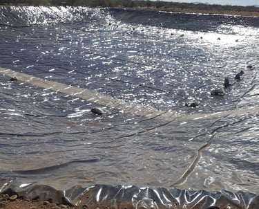 agua evoriegos