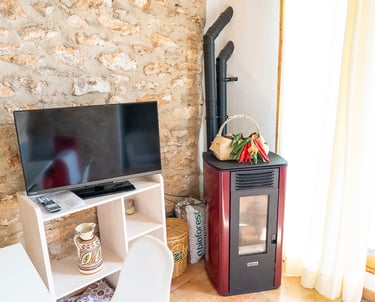 Televisión y estufa en la sala de estar de Carmens Rural, Sant Jordi